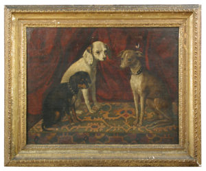 Portrait of three favourite dogs